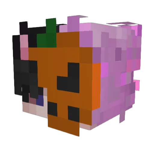 Minecraft-Avatar von OnlyTaio: Kopf als 3D-Render