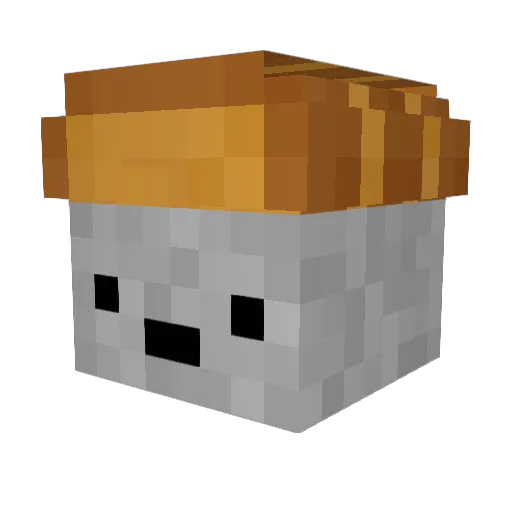 OnlyToaster Minecraft avatar head, 3D render