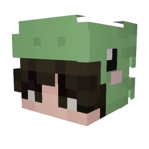 OnlyWolfy Minecraft avatar head, 3D render