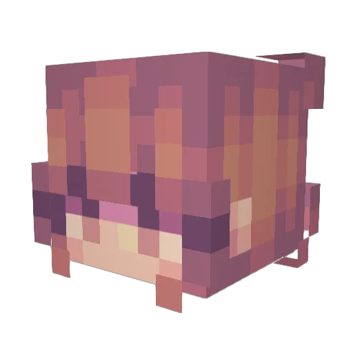 Only_Awe Minecraft avatar head, 3D render