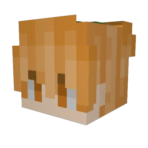 Only_Mango Minecraft avatar head, 3D render