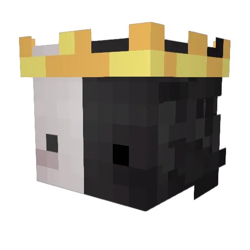 Only_on_me Minecraft avatar head, 3D render