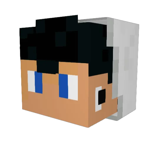 Onlyanimal04 Minecraft avatar head, 3D render