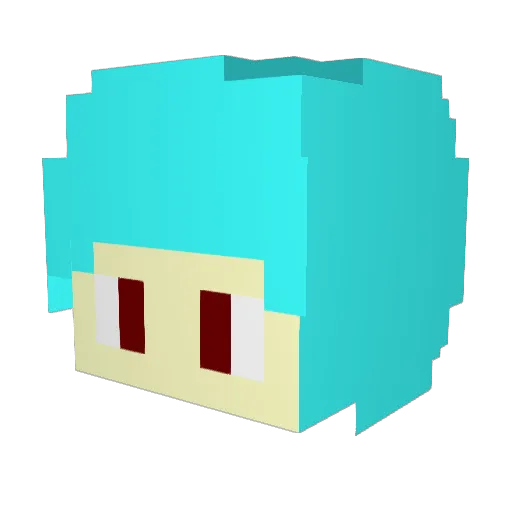 Onlyhim0224 Minecraft avatar head, 3D render