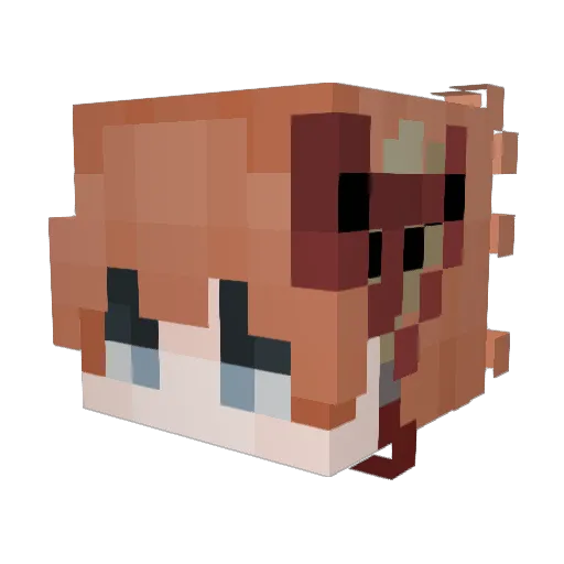 Onlyw1nter Minecraft avatar head, 3D render