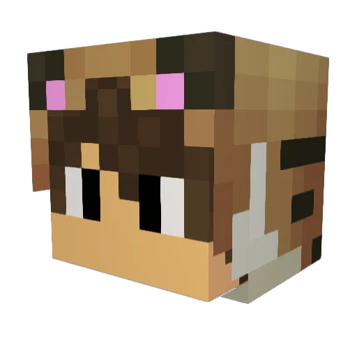 Onnatie Minecraft avatar head, 3D render