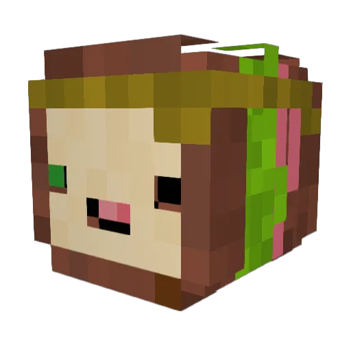 OnnionsGreat Minecraft avatar head, 3D render