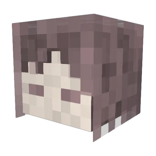 Onnnni Minecraft avatar head, 3D render