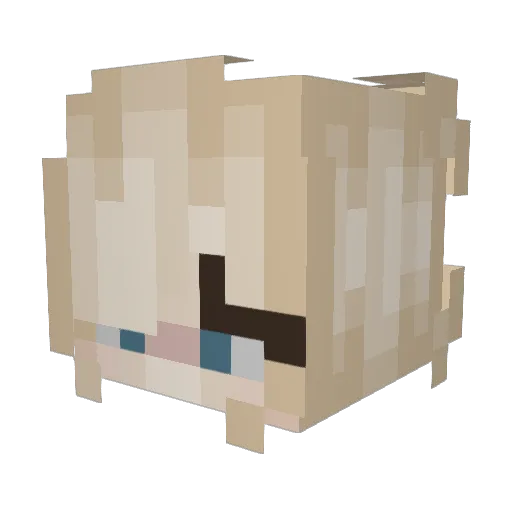 Onnyxx Minecraft avatar head, 3D render