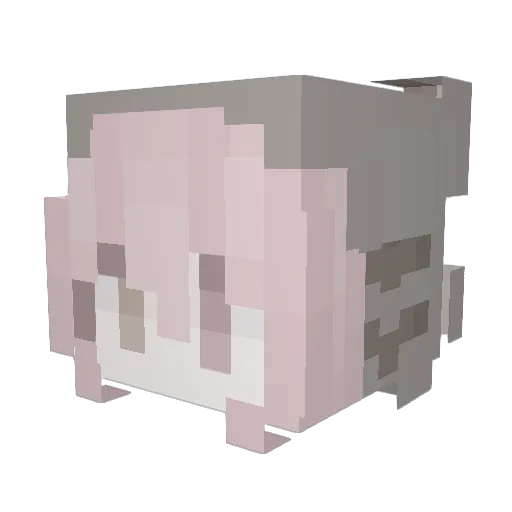 Ono206 Minecraft avatar head, 3D render