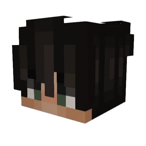 Onoderakun Minecraft avatar head, 3D render