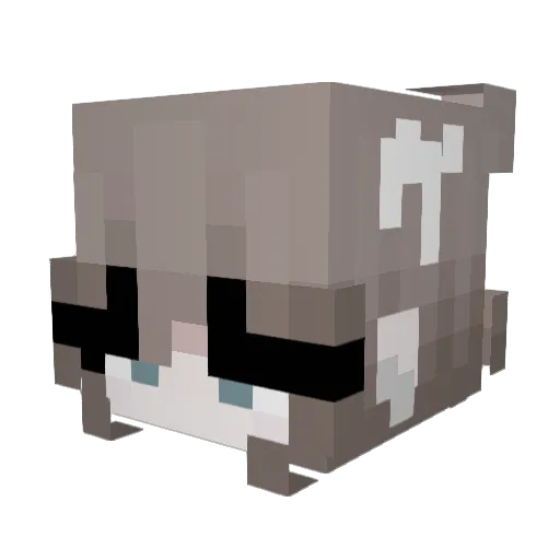 Onoppy Minecraft avatar head, 3D render