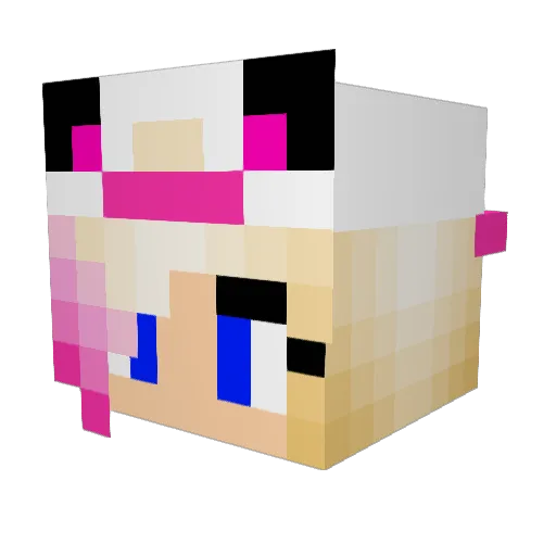 Onsku Minecraft avatar head, 3D render