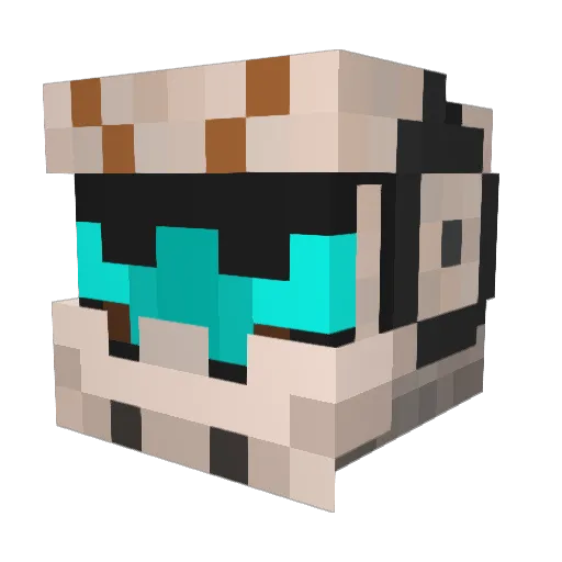OntheRadio2 Minecraft avatar head, 3D render