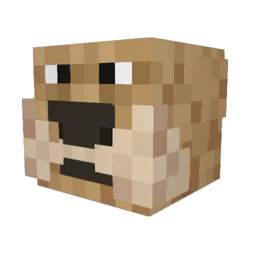 Onyich Minecraft avatar head, 3D render
