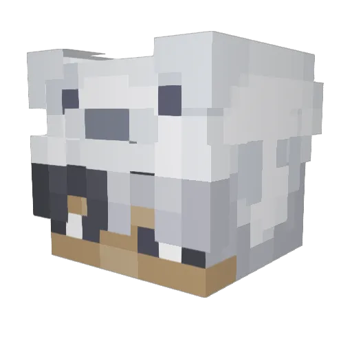 OnyxX4162 Minecraft avatar head, 3D render