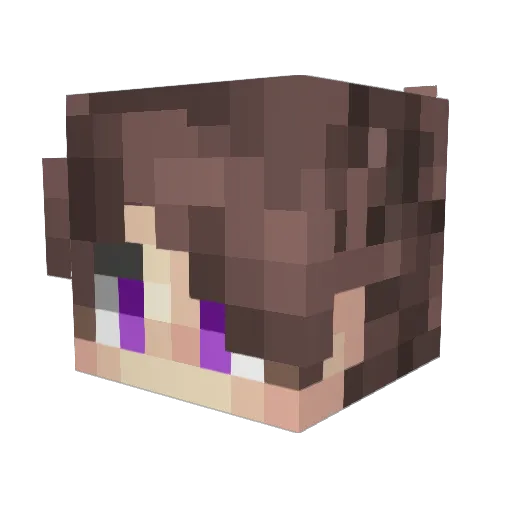 Onyx_Venator Minecraft avatar head, 3D render