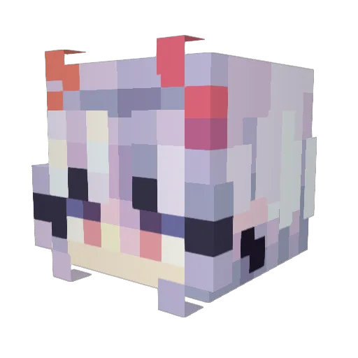 Onyx__Acacia Minecraft avatar head, 3D render