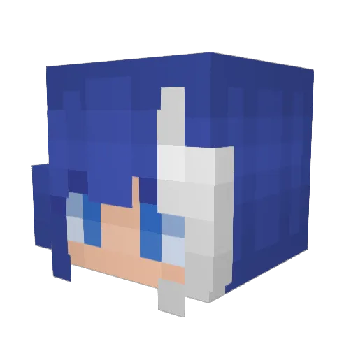 Oo0w Minecraft avatar head, 3D render