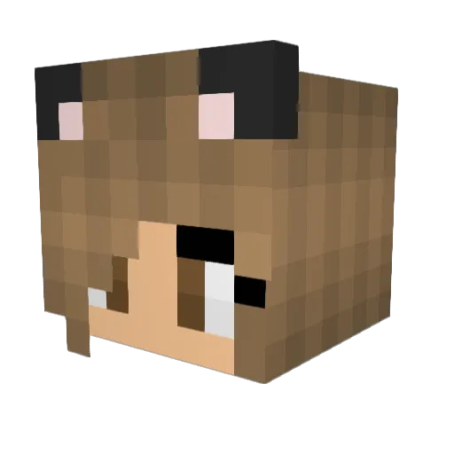 OoAri23oO Minecraft avatar head, 3D render