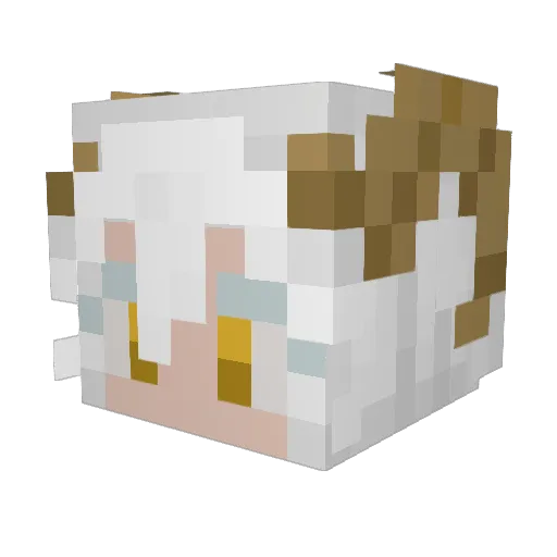 OoAstraloO Minecraft avatar head, 3D render