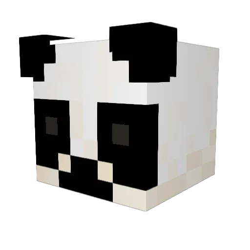 OoCasuloO Minecraft avatar head, 3D render