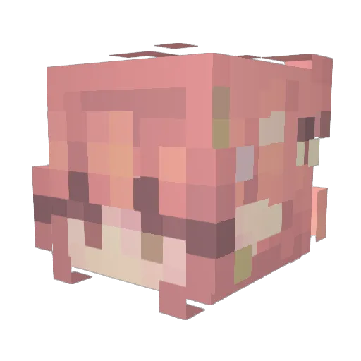OofCats Minecraft avatar head, 3D render