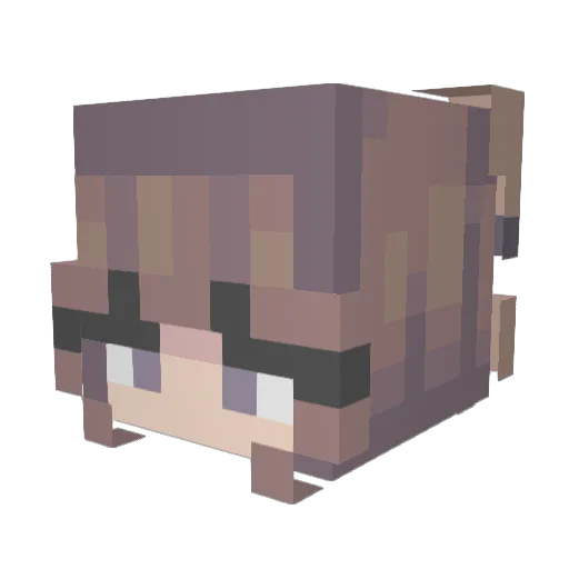 OofMedley Minecraft avatar head, 3D render