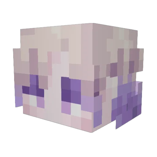 Oogamin Minecraft avatar head, 3D render