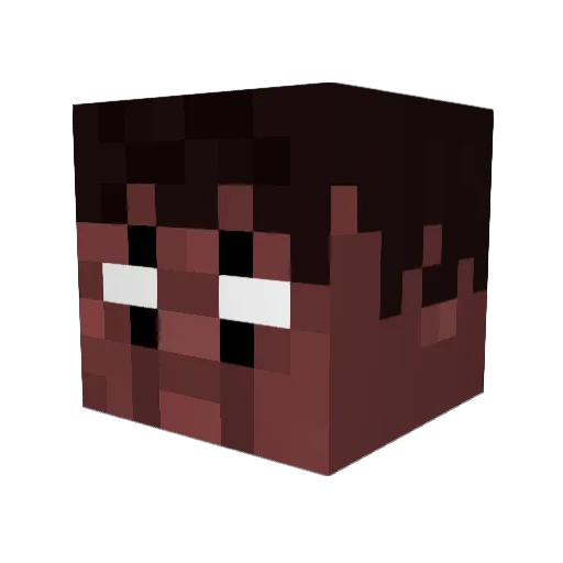 OogreAmon Minecraft avatar head, 3D render