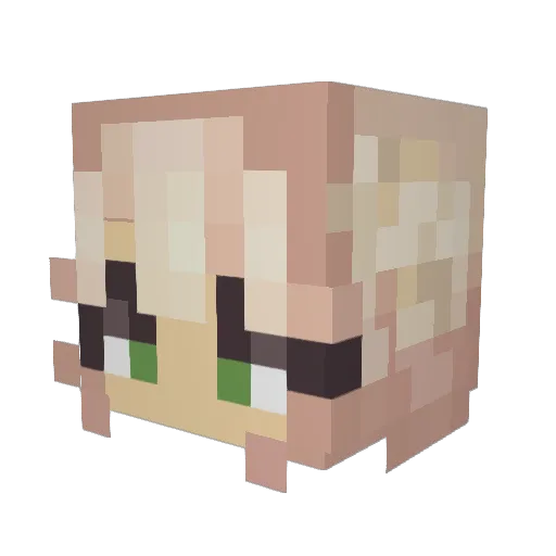OokamiRena Minecraft avatar head, 3D render