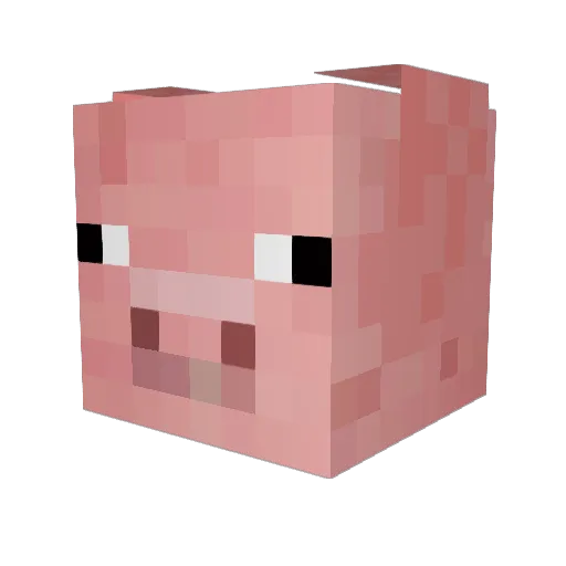 Oolong10 Minecraft avatar head, 3D render