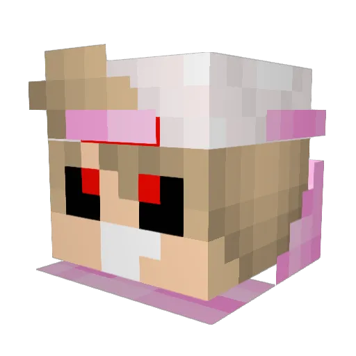 Oomen135 Minecraft avatar head, 3D render