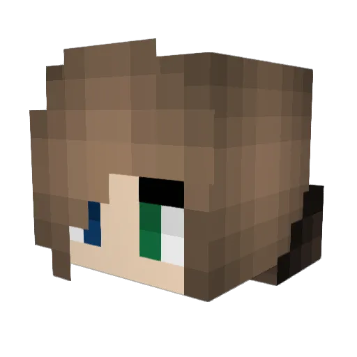 Oonis2002 Minecraft avatar head, 3D render