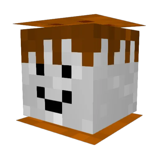OooozeIndacut_ Minecraft avatar head, 3D render