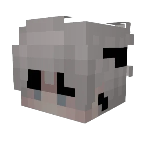 Oopsiedoopsie16 Minecraft avatar head, 3D render