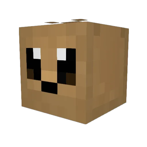 Ooveenon Minecraft avatar head, 3D render