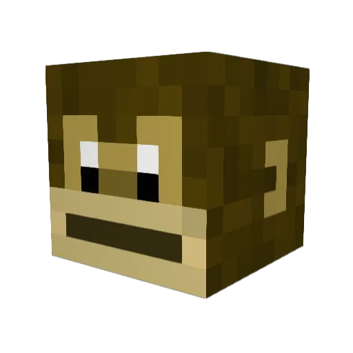 OpGamer55 Minecraft avatar head, 3D render