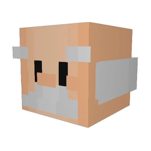OpaKn4ck Minecraft avatar head, 3D render