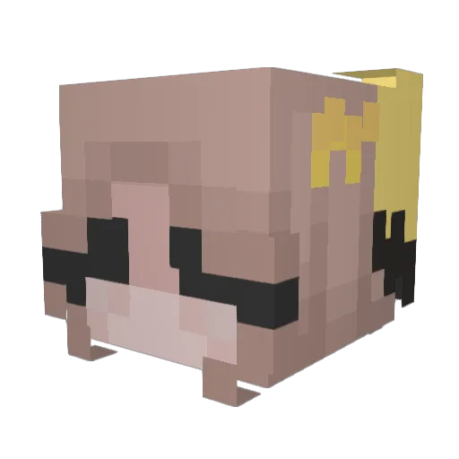 Opaela Minecraft avatar head, 3D render