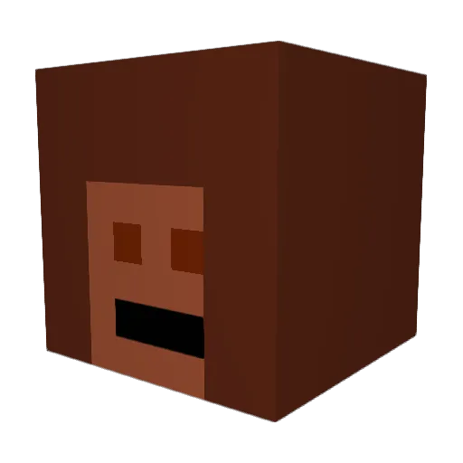 Opahllama101 Minecraft avatar head, 3D render