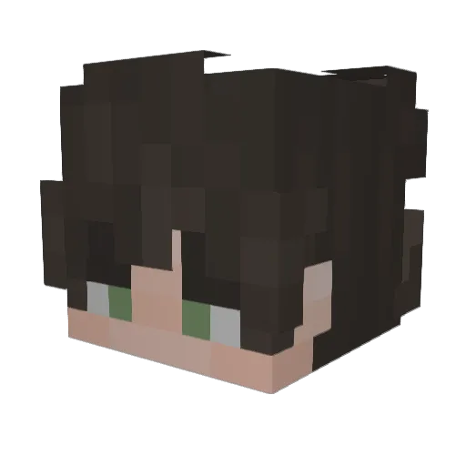 Opais_PaGaL Minecraft avatar head, 3D render