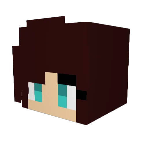Opal200 Minecraft avatar head, 3D render