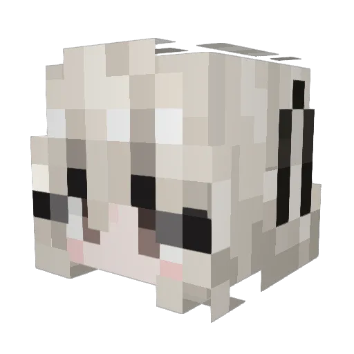 Opal520 Minecraft avatar head, 3D render