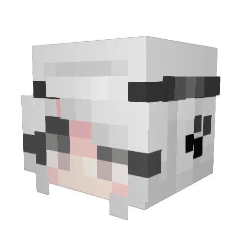 Opal_Moonshine Minecraft avatar head, 3D render
