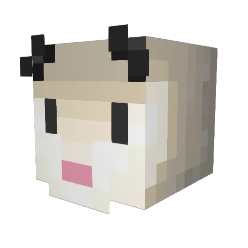 OpaqueOposs Minecraft avatar head, 3D render