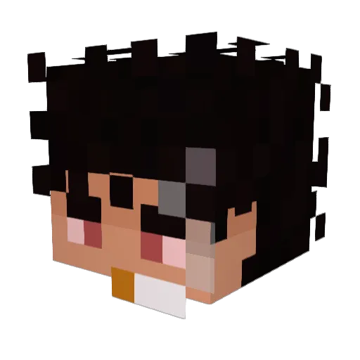 Opariehc Minecraft avatar head, 3D render