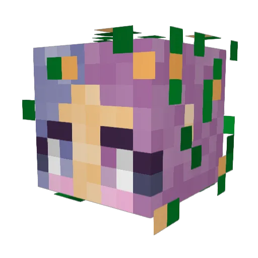 Opatae Minecraft avatar head, 3D render