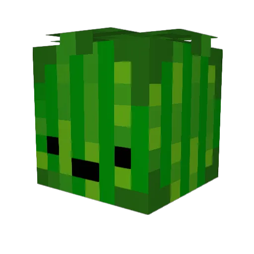 Opelus43 Minecraft avatar head, 3D render