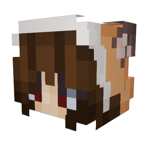 OperationZero0 Minecraft avatar head, 3D render
